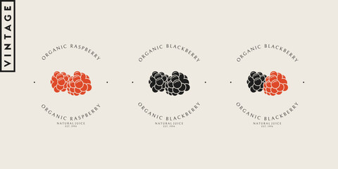 Vintage style raspberry and blackberry. Organic berry logo