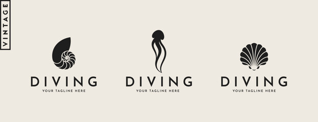 Sea life logo. Vintage style jellyfish scallop and nautilus shell