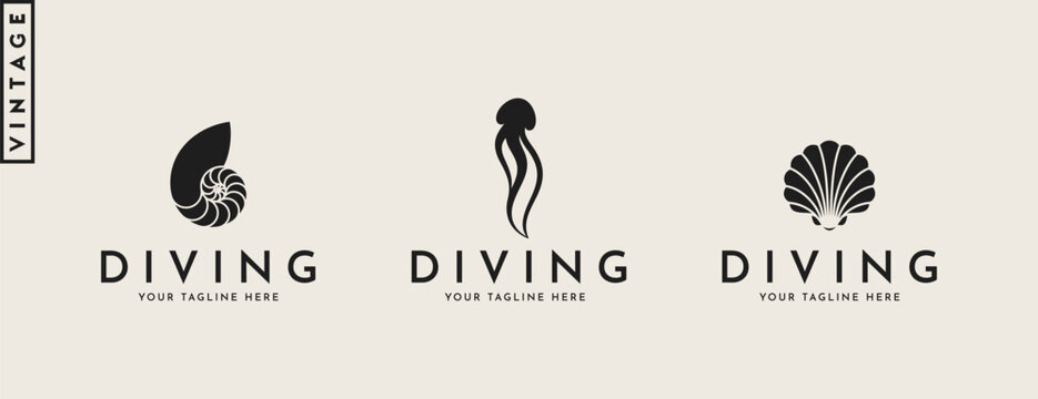 Sea life logo. Vintage style jellyfish scallop and nautilus shell