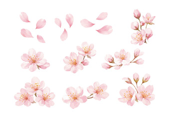 桜の水彩イラストセット 花と花びら素材 © nona