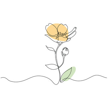 Minimalist Continuous Line Art of a Flower with Abstract Color flat