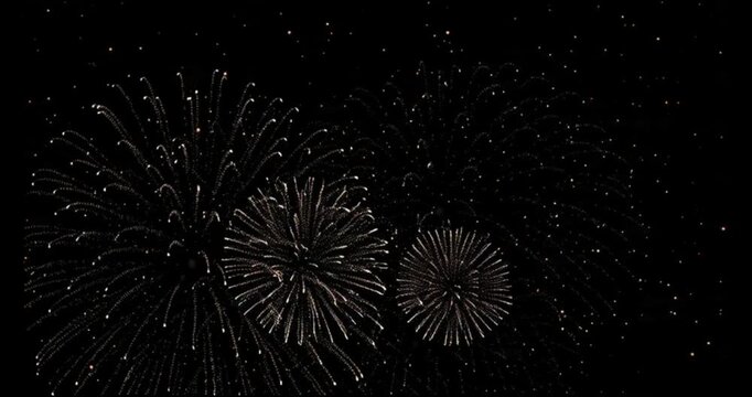 Beautiful flowers and gifts on pink background for Valentine's Day or Mother's Day celebration