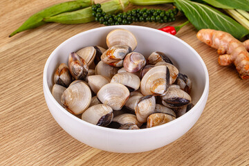 Raw fresh wild clams mollusc © Andrei Starostin
