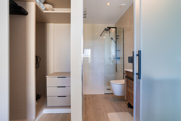 Modern en-suite bathroom with glass shower and built-in closet in minimalist apartment