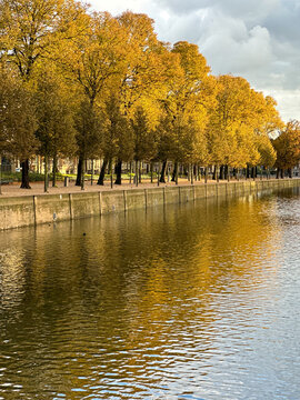 autumn in the park in den haag