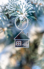 symbol of the house stands on a snow-covered fir branches