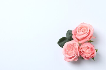 Fototapeta premium Floral composition of rose buds and petals on white background, top view, copy space.