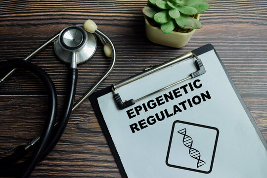 Concept of epigenetic regulation write on clipboard isolated on Wooden Table. Histone modification and environmental influence on genome activity