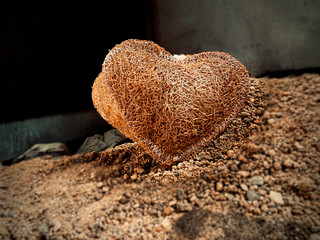 Luffa heart shape,texture is coarse and fibrous.put on background,art design