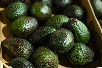 Fresh Hass Avocados in Bulk Display at Market