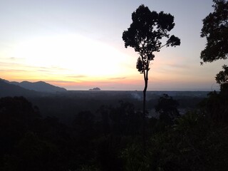 Fototapeta premium Dramatic Silhouette of a Lonely Tree at Sunset