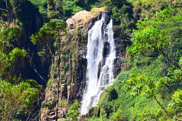 Natural Beauty of Sri Lankan Central Highlands