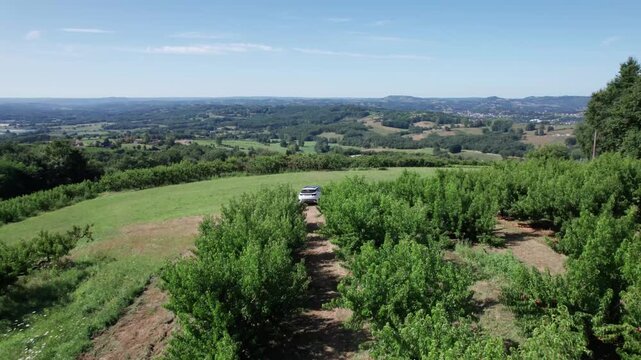 vue drone sur voiture blanche dans vignes