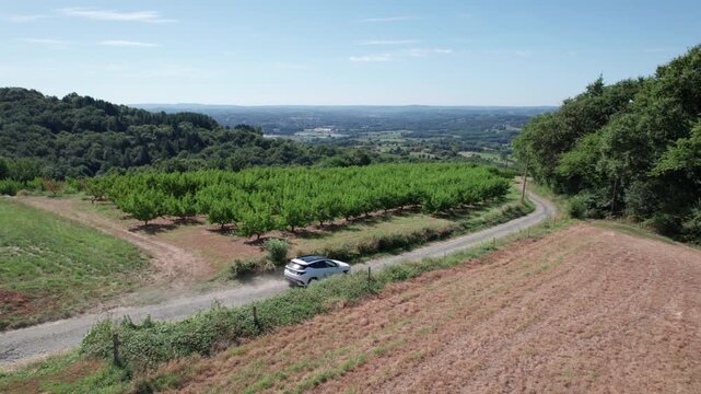 vue drone sur voiture blanche sur la route