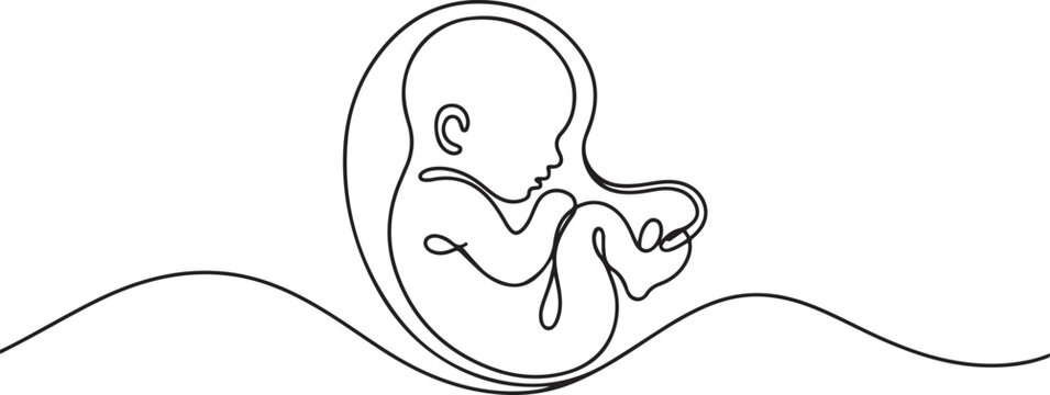 Baby embryo in womb, fetus one art line continuous drawing. one line Art icon drawing vector