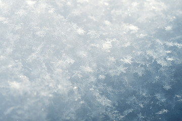 Fototapeta premium Abstract Background with Delicate Snowflakes in Soft Winter Light