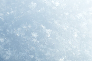 Obraz premium Abstract Background with Delicate Snowflakes in Soft Winter Light