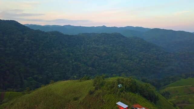 Aerial view showing changing landscape in Rubanda District, Uganda, with a tea plantation on steep hills overlooking the vast Bwindi Impenetrable Forest and a humble human settlement farming structure