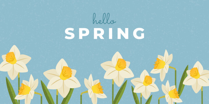 Hello Spring floral background with daffodils. Vector template for Mother&rsquo;s Day, March 8, social media, banner