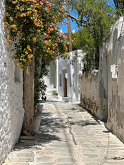 Obraz premium street in the old town in greece