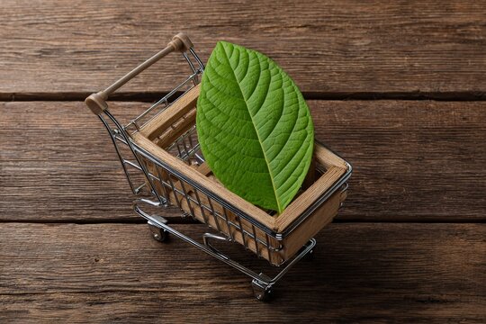 Shopping cart holds a large green leaf on a wood surface signifying eco friendly shopping