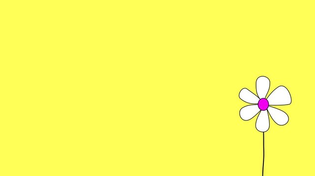 Animation of Daisies on yellow background with empty space for greeting or introduction