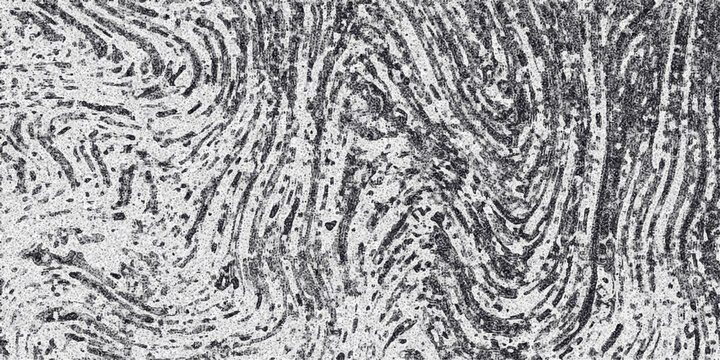 Swirling organic lines and textured patterns in grayscale, resembling wood grain or fingerprints, offering a detailed and abstract background