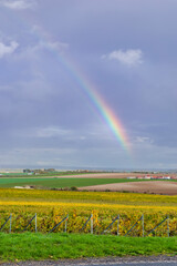 Rainbow arching over autumn vineyard landscape in Villers Marmery