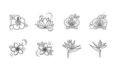 Tropical Flower Icon Pack   Minimal Line Vector Icons with Editable Stroke © Shukimon