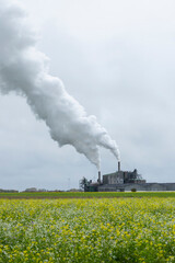 Fototapeta premium Industrial factory polluting sky with smoke over blooming field