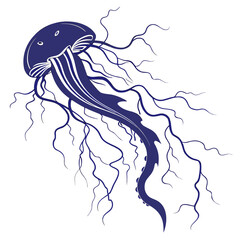Blue jellyfish illustration © RABBY