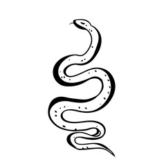 Fototapeta premium Boa Constrictor. Boa Constrictor simple black and white line art vector logo