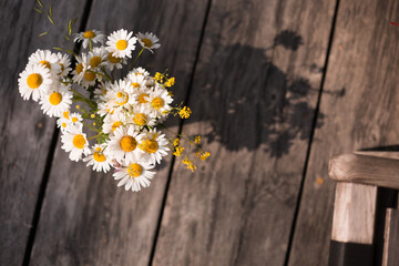 A summer bouquet of daisies in a vase stands on a sunny veranda.
