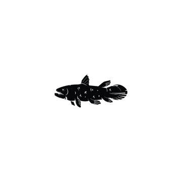 Black Coelacanth fish silhouette rendered in a clean minimalist vector style, isolated on a white background. Simple graphic shape suitable for logos, icons, branding, prints, and design templates.