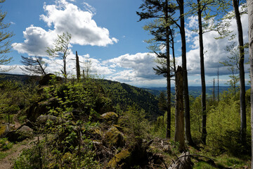 Baden-W&uuml;rttemberg - Yach - Wanderweg nach Gfels