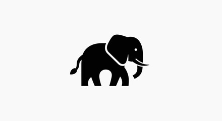 Fototapeta premium elephant silhouette vector