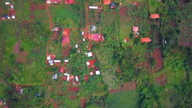 Top down Aerial view capturing the vibrant rural community and agricultural landscape along the Nile River in Kabale, western Uganda, showcasing sustainable land use and village life