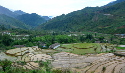 Naklejka premium Terraced rice fields in the rugged mountains of Northwest Vietnam.