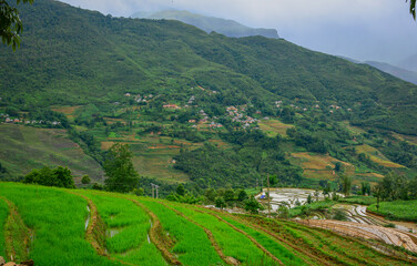 Naklejka premium Terraced rice fields in the rugged mountains of Northwest Vietnam.