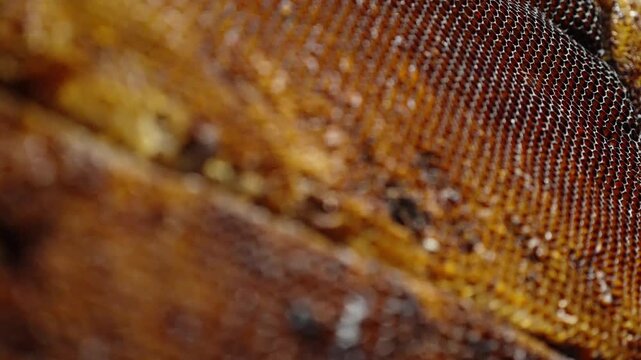 Macro close-up of golden honeycomb saturated with glistening honey, revealing hexagonal wax cells, layered comb textures, and amber tones in a beekeeping harvest scene
