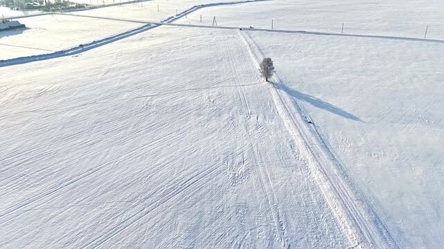 Parallel tracks across snowfield with a single tree casting long shadow in low winter light