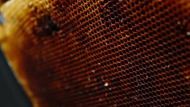 Macro close-up of a honeycomb beehive frame showcasing hexagonal wax cells filled with rich amber honey, revealing intricate natural patterns and texture under warm, golden light