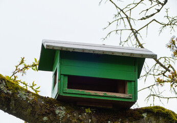 Gro&szlig;es Vogelhaus Vogelh&auml;uschen auf Ast in Baum