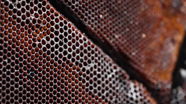 Macro close-up of a honeycomb beehive densely packed with hexagonal beeswax cells in dark amber tones, divided by a narrow seam, showcasing organic texture, pattern, and structure