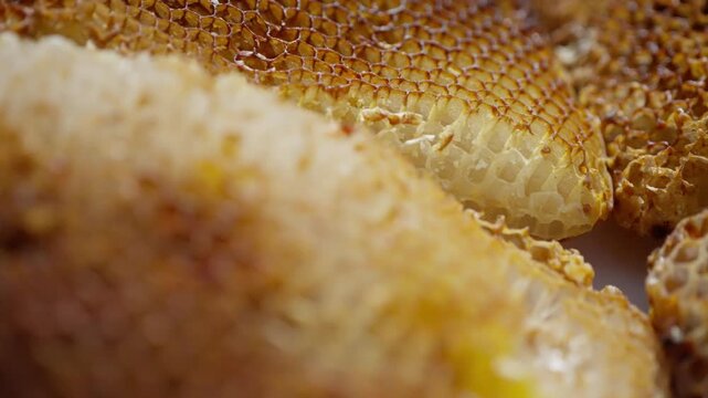 Macro close-up of golden honeycomb filled with glistening honey and layered beeswax, showcasing precise hexagonal cells and natural geometric patterns within a hive structure
