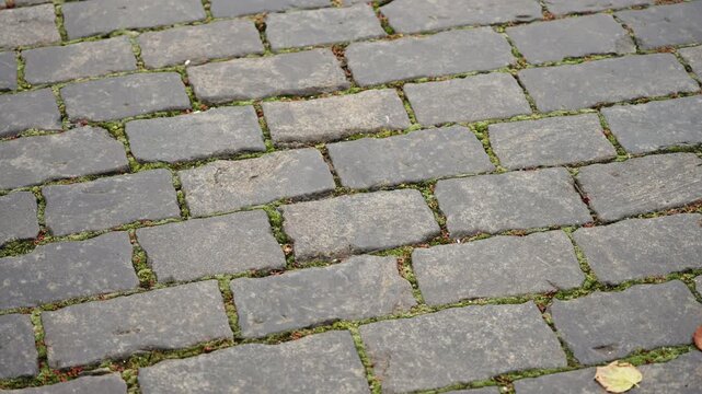 Close-up of weathered cobblestone pavement with green moss between rectangular stones and fallen autumn leaves, highlighting rough texture, patterns, and aged walkway character