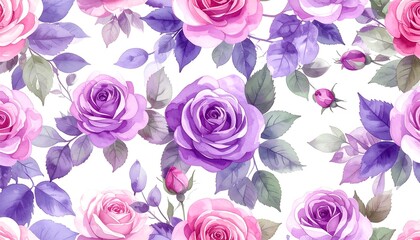 Watercolor illustration of pink and purple roses and foliage on a white background