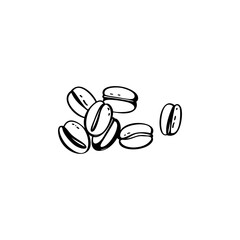 Coffee beans hand drawn illustration. Coffee vector doodle icon