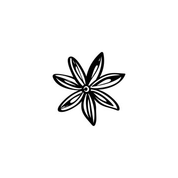 Badian hand drawn illustration. Badian vector doodle icon