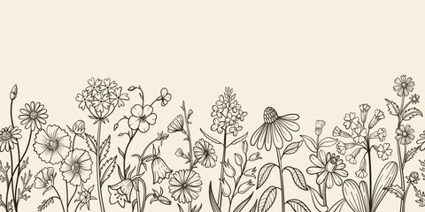 Obraz premium Wildflower seamless border with hand drawn meadow blooms, daisy and bellflower for vintage poster, rustic invitation botanical template. Isolated vector sketch banner